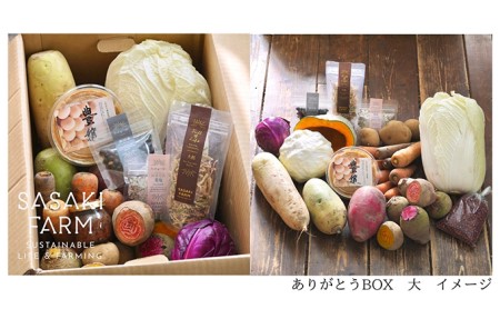 〈自然栽培〉佐々木ファーム　旬の野菜詰め合わせ　～ありがとうBOX 2023・大～　やさい　直送　北海道　洞爺湖町