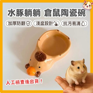 鼠鼠 防翻倉鼠陶瓷水豚飼料盆 食盆 倉鼠食盆 黃金鼠食盆 飼料盆 倉鼠陶瓷碗 陶瓷碗 倉鼠陶瓷 倉鼠碗