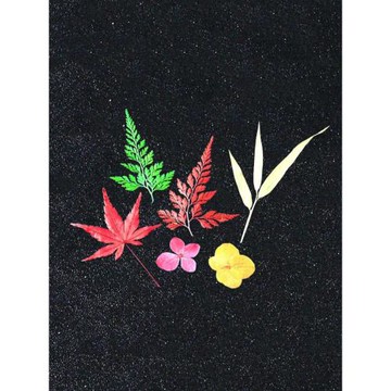 帝星創意創意調酒雞尾酒裝飾簽真樹葉標本楓葉竹葉青蒿葉片裝飾物