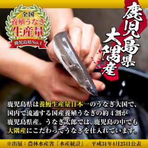 ＜定期便・全10回(連続)＞鹿児島県産東串良町のうなぎ蒲焼(2尾・計300g以上・秘伝のタレ付き×10回)