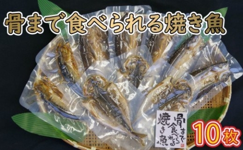 焼き魚 10枚 セット 簡単 レンジ 調理 骨まで まるごと 食べられる あじ ほっけ かます いわし 常温 保存  備蓄 8000円