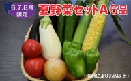 夏野菜セットA 6品 以上 季節 旬 夏 野菜  葉物 果菜 根菜 冷蔵 野菜室 ダイエット 食 栄養食 加工品 岩手県産 北上産 季節限定 稀少 数量限定 とうもろこし ヤングコーン ブロッコリー レタス ズッキーニ ケール ブルーベリー きゅうり ミニ トマト ピーマン 玉ねぎ 大根 インゲン オクラ つるむらさき 枝豆 モロヘイヤ ししとう なす