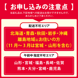 柿の葉ずし(鯖24個入り)《和楽路屋田中》