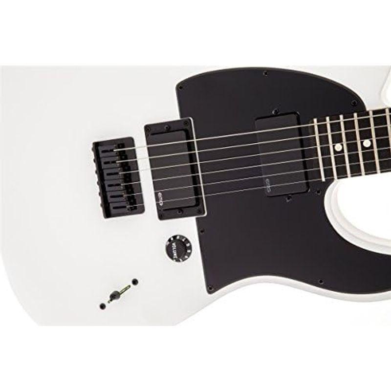 エレキギター Fender JIM ROOT STRATOCASTER?