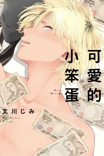 可愛的小笨蛋（全）[二手書_近全新]