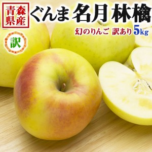 青森 りんご 5kg 訳あり ぐんま 名月 家庭用(傷あり)ぐんまめいげつリンゴ・お歳暮林檎・家庭内のクリスマス…