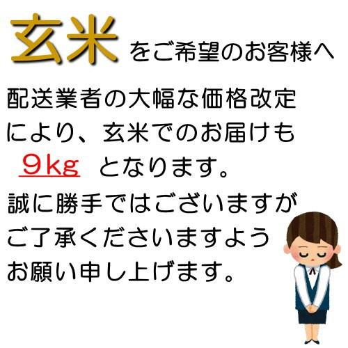 コシヒカリ お米 玄米 白米 9kg 小分け 令和5年産 埼玉県 地域限定 送料無料