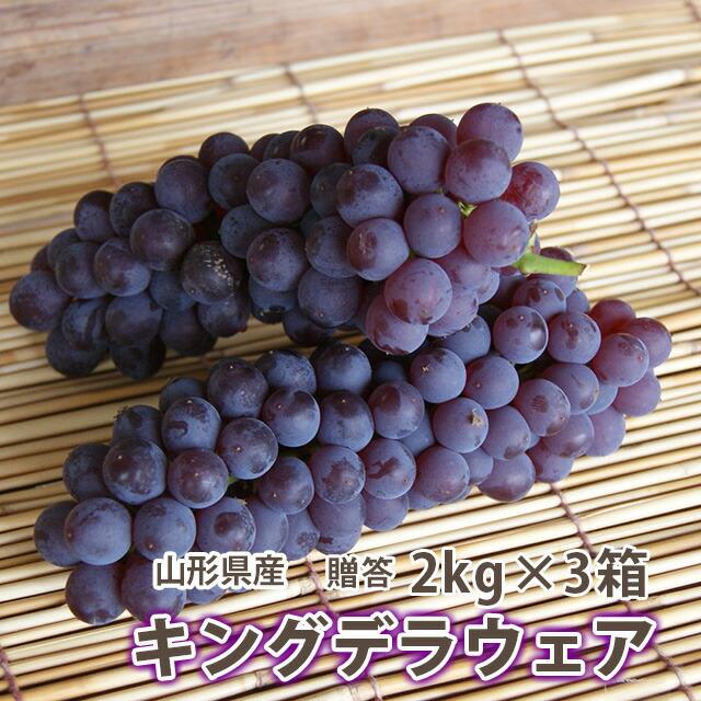 ぶどう 葡萄 ブドウ 秀 贈答 キングデラ ２kg ５〜７房入り ３箱 山形市本沢産 キングお中元 ギフト 果物 高級 種無し 敬老の日 農産物