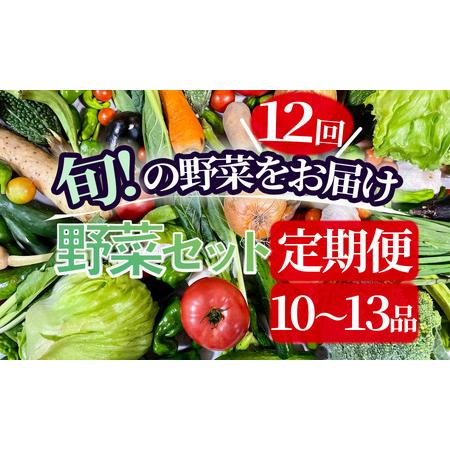 ふるさと納税 湯の花　旬の野菜セット1年間の定期便 静岡県南伊豆町