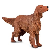 【 COLLECTA 】愛爾蘭雪達