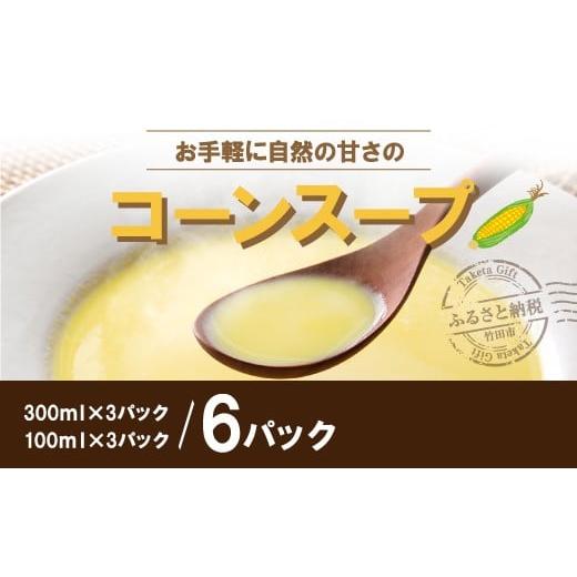 ふるさと納税 大分県 竹田市 お手軽に自然の甘さのコーンスープの素 6袋(300ml×3袋、100ml×3袋)