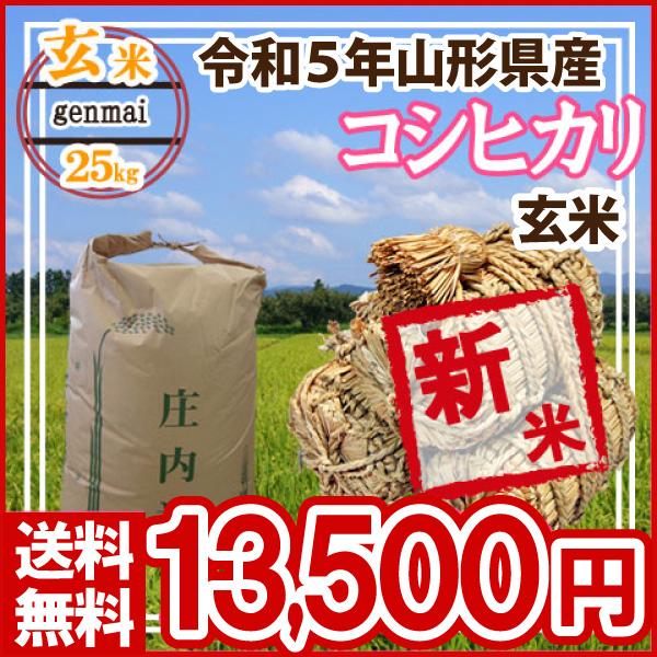 令和5年 山形県産 コシヒカリ 玄米 25kg(5kg×5)（送料無料）