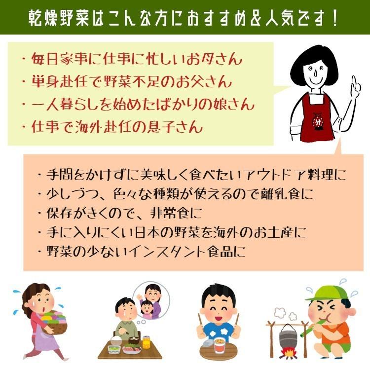 国産 乾燥野菜グリーンミックス ほうれん草マシマシ 1kg×3 計3kg   チャック付