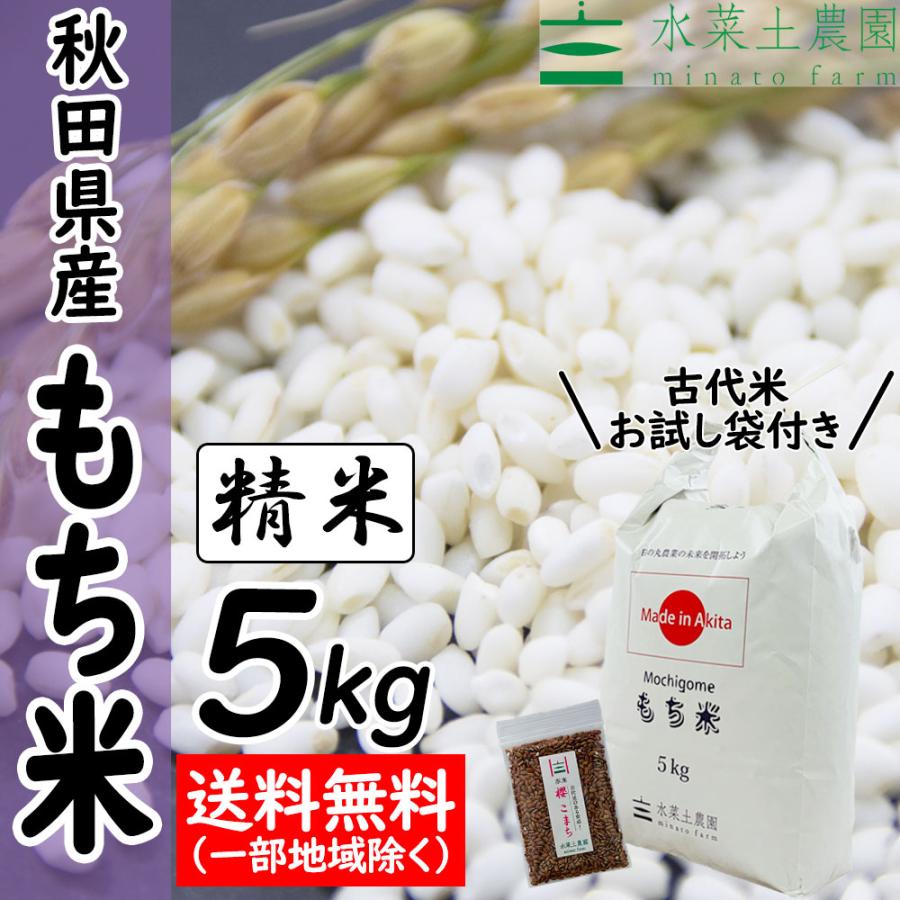 令和5年産　お米　もち米　古代米お試し袋付き　農家直送　新米　きぬのはだ　秋田県産　米　米5kg　LINEショッピング