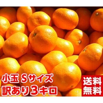 静岡県産 訳あり三ケ日・浜名湖小粒みかん３kg