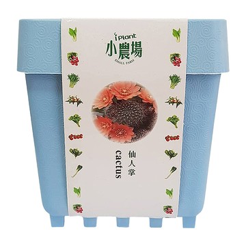 iPlant 積木農場盆栽  仙人掌  12.5 x 12.5 x 14cm