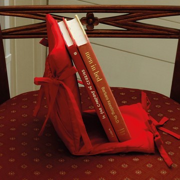 布書擋 紅色 (書蟲系列)