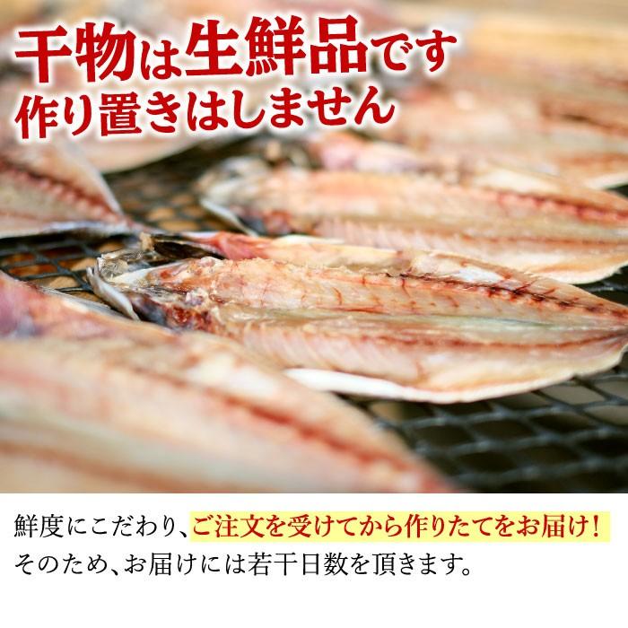 特大アジ・サバ干物 お試し2枚セット（各1枚） 干物 ひもの アジ 鯵 サバ 鯖 特大 食べ比べ お取り寄せ 受注生産