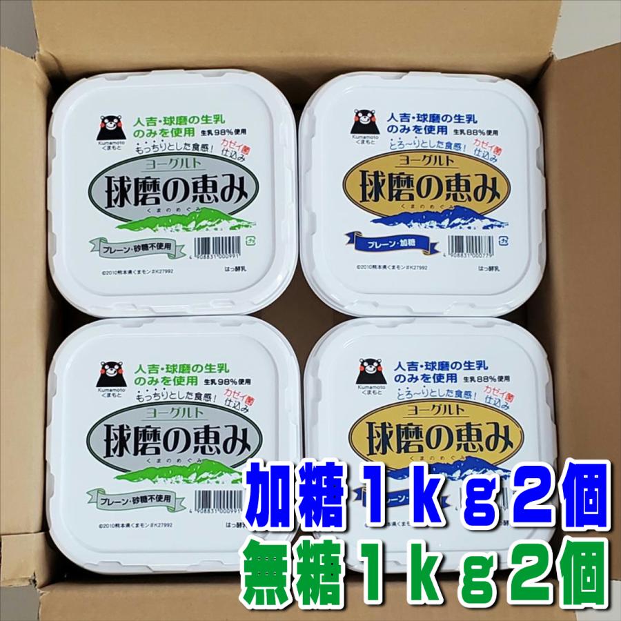 球磨酪農　球磨の恵ヨーグルト無糖１ｋ×２個　加糖１ｋ×２個　計４個　送料無料　人吉球磨　球磨の恵み