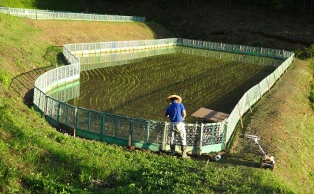 有機無農薬合鴨米（コシヒカリ5kg）・もち麦（フクミファイバー500g）