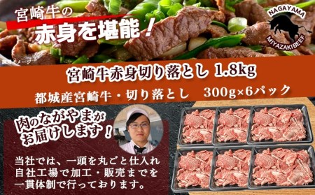 宮崎牛赤身切り落とし1.8kg_AC-2505_(都城市) 牛肉 牛 ブランド牛 赤身 ウデ モモ 切り落とし 300g×6パック 都城産