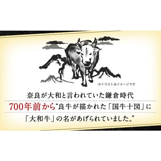 ふるさと納税 奈良県 奈良市 F-25 大和牛サーロインステーキ約250g×2枚、すき焼き400g