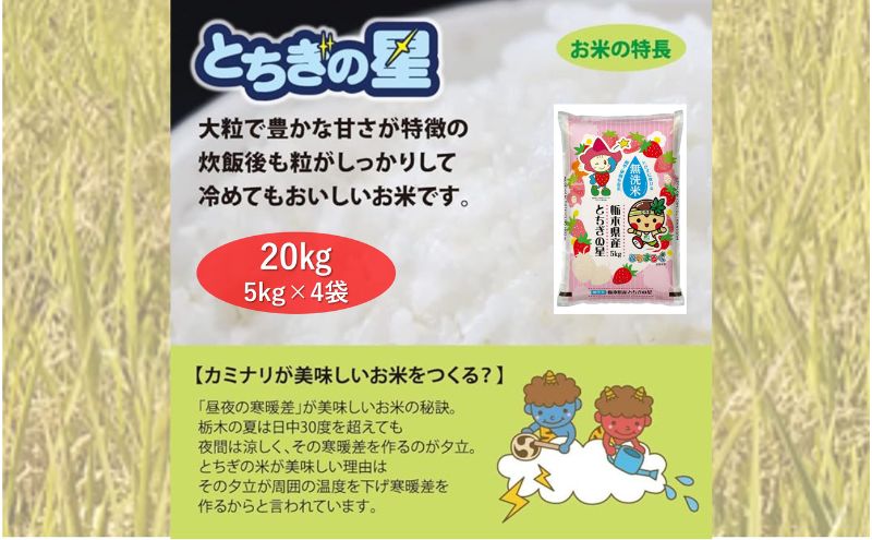 栃木県鹿沼市産 とちぎの星 無洗米 20kg（5kg×4袋） 令和5年産 水稲 ...