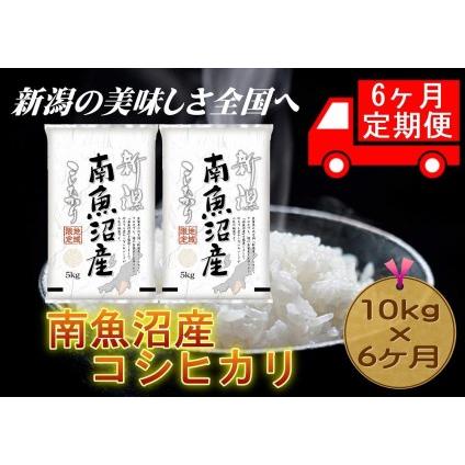 ふるさと納税 南魚沼産コシヒカリ　5kg×2 新潟県