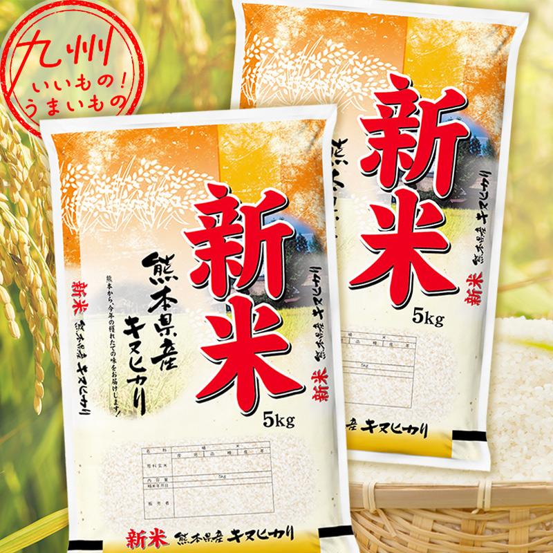 令和5年産 熊本県産 キヌヒカリ 10kg（5kg×2袋） 米 精米 白米 お米 こめ 熊本 熊本の米 産地直送 送料無料