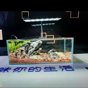 【超白玻璃】限時特價  桌面景觀缸  超白魚缸 小溪流魚缸  龜缸  桌面生態缸