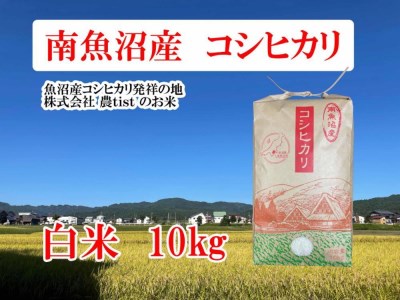 コシヒカリ 白米10kg＜クラウドファンディング対象＞