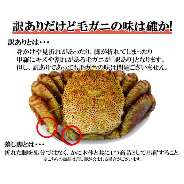 毛ガニ 毛蟹 訳あり 650g かに姿 カニ味噌 かにしゃぶ 蟹 カニ かに 北海道産 shr-018