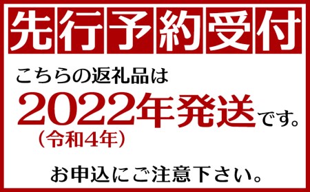 仲村農園の完熟アップルマンゴー約2Kg 