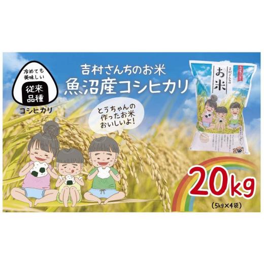 ふるさと納税 新潟県 十日町市 ｜従来品種｜ 魚沼産 コシヒカリ 5kg ×4袋 計20kg 米 こしひかり お米 コメ 新潟 魚沼 魚沼産 白米 送料無料 新潟県産 精米 産…