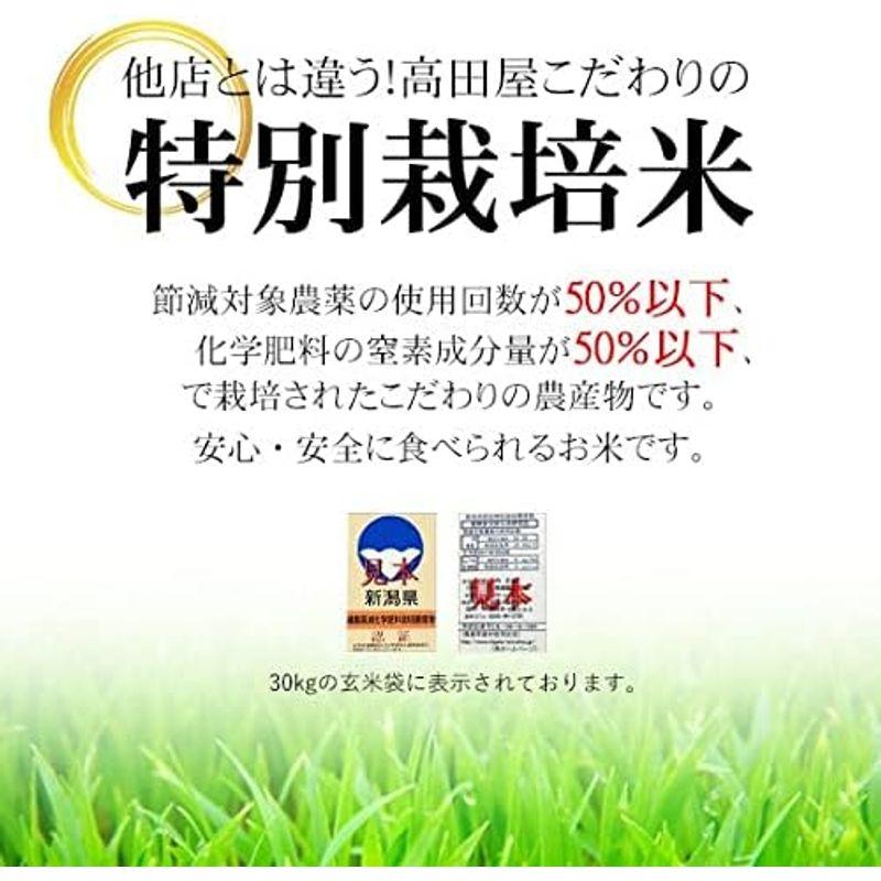 精白米 5kg 特別栽培米 魚沼産コシヒカリ 令和4年産 津南 ゆきやまと農場