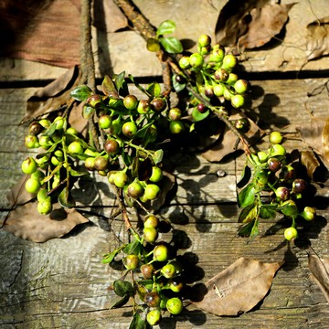 仿真植物花卉逼真擺件仿真花假花擺設客廳裝飾餐廳桌面家居飾品