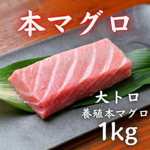 本マグロ 大トロ 1kg