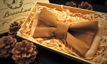 Birdddland原創手工復古高級質感綢緞領結 卡其色軍綠色 禮物