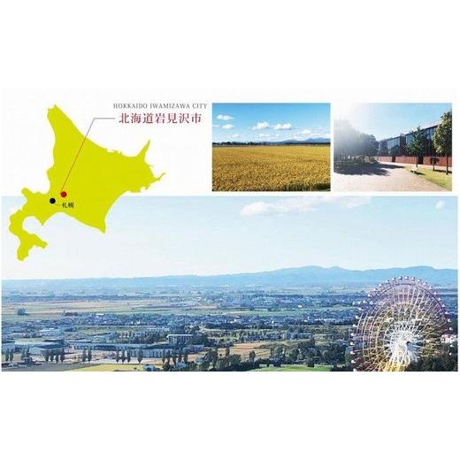 ふるさと納税 北海道 岩見沢市 令和5年産！北海道岩見沢産ゆめぴりか20kg※一括発送