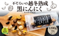 不ぞろいの越冬熟成黒にんにく１２００ｇ（100ｇ×１２パック）