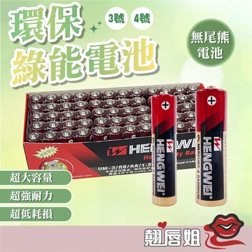 挑戰最超值【60入一盒】無尾熊電池 環保綠能碳鋅3號電池、4號電池 碳鋅電池 玩具電池 AA電池 恆威電池 電子鐘電池