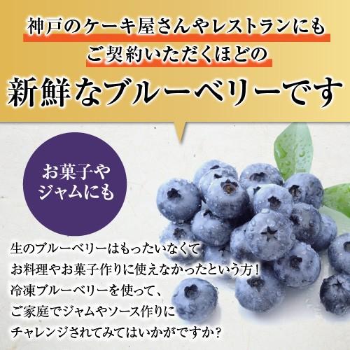 冷凍 ブルーベリー 紀州 和歌山 有田産 フレッシュブルーベリー 500g 減農薬 産地直送 自宅用 国産 果物 フルーツ