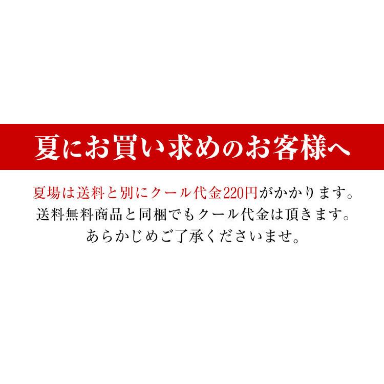 手延べうどん 「数量限定 本格生うどん」 1kg 半生麺 かも川 かも手の麺 かも手うどん ポイント消化 敬老の日 ギフト グルメ