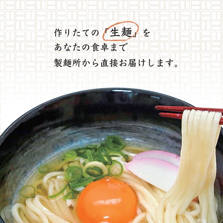 うどん 生麺 （細うどん）ストレートだし付き 5食セット