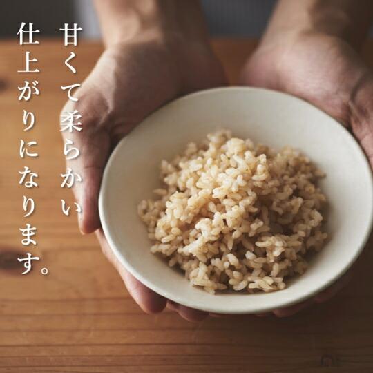 褒美玄米 150g 農薬不使用 令和4年産 お米 富山県産 滋賀県産 お米 おすすめ 玄米