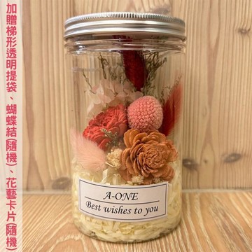 【A-ONE】迷你畢業花罐 通草花束 索拉花束 不凋花 粉紅乾燥花 情人節 婚禮小物 七夕求婚生日禮物 聖誕節花束 P款_廠商直送