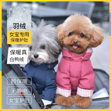 丑丑chouchou寵物公狗裝母狗裝羽絨服加厚保暖泰迪比熊狗衣服冬裝