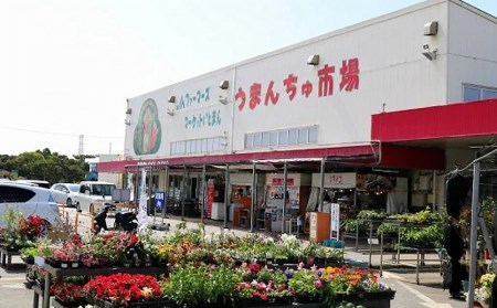 沖縄産の野菜・フルーツ詰め合わせ＜おまかせセット＞