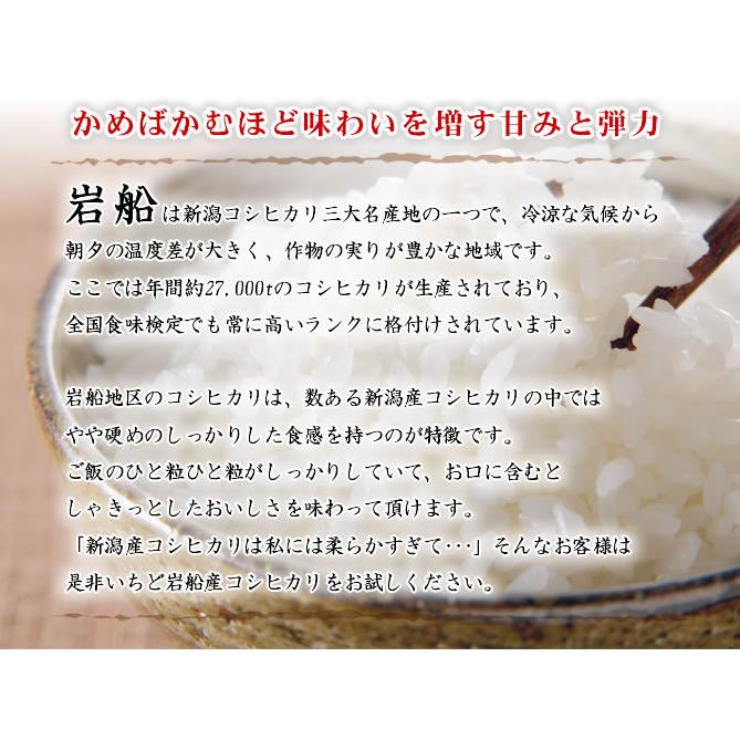 新米 米 お米 10kg 岩船産コシヒカリ 5kg×2袋 令和5年産 送料無料 （北海道、九州、沖縄除く）