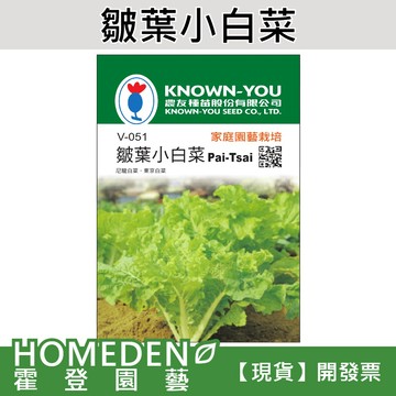 【隔日到貨】皺葉小白菜 V-051 尼龍白菜 蔬菜種子 農友牌 小包裝種子 約4g/包【HOMEDEN霍登園藝】